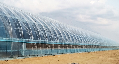 水蓄热内（双）保温装配式日光温室专利集成技术助力呼市地区蔬菜产业高质量发展
