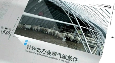 育肥智能型阳光畜牧棚舍
